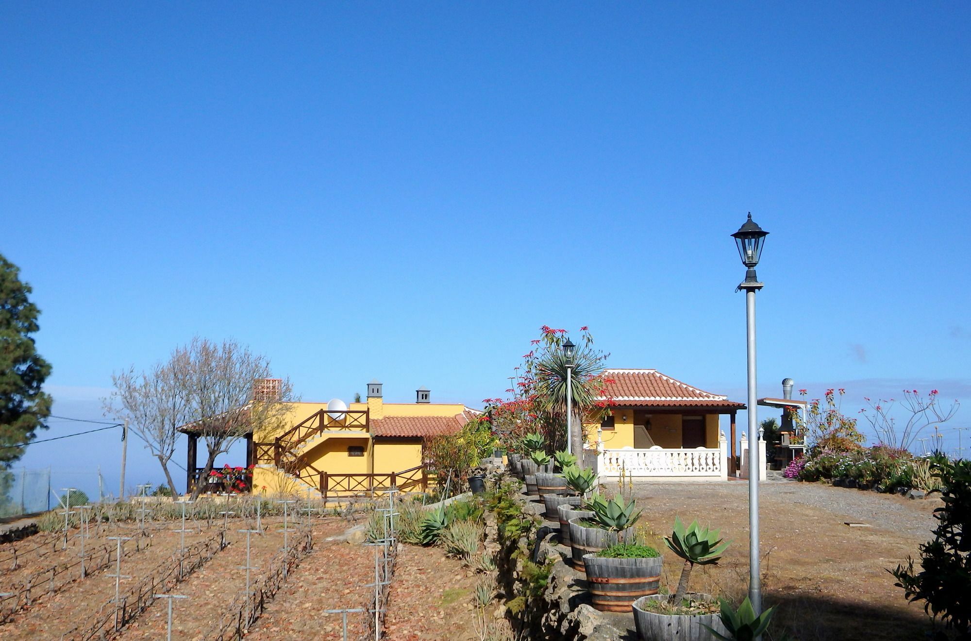 Villa El Lagar Icod De Los Vinos Exterior foto